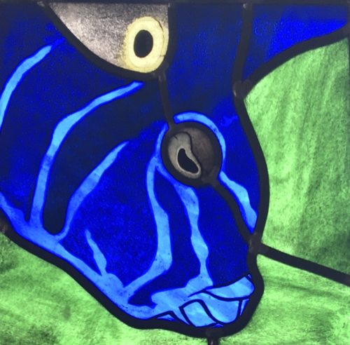 Earspot Angel Fish - Seychelles
