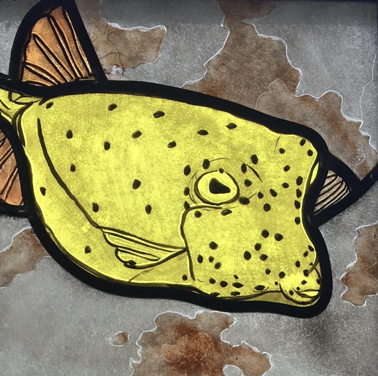 No, I do not have measles, it is just my special skin and though I look quite sad without, I am really smiling within Yellow Boxfish – Red Sea